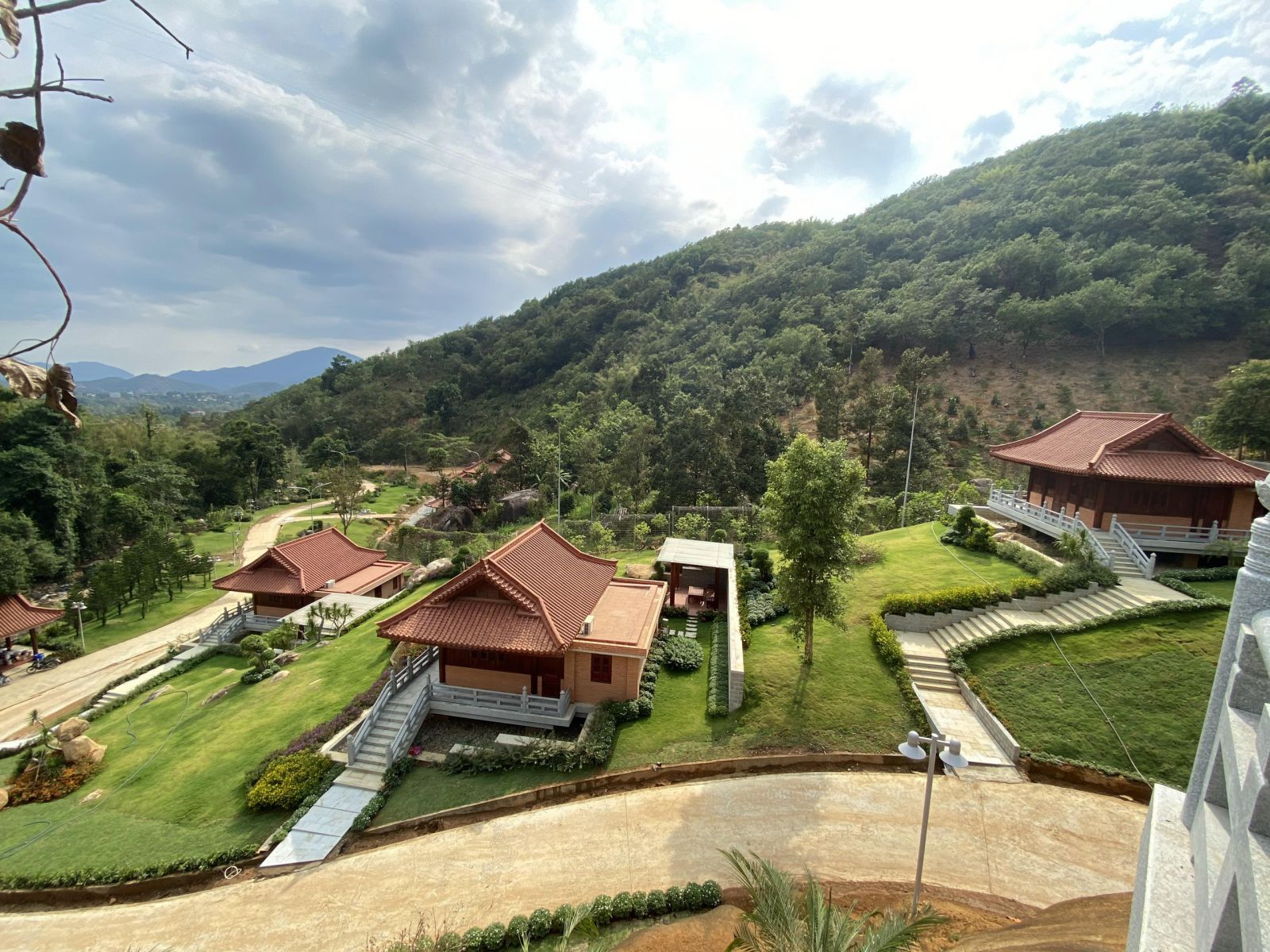 Đại Tùng Lâm - Hoa sen group